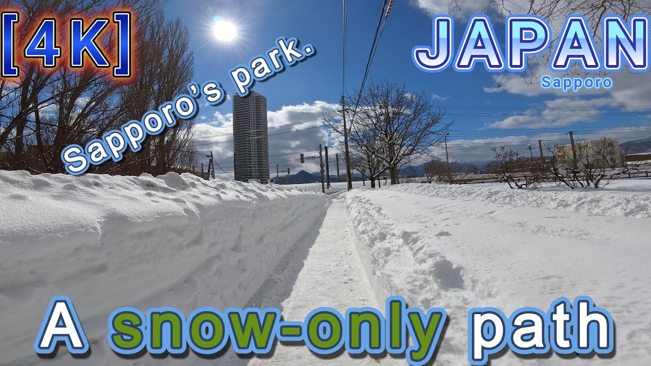 【4K】 solo walking / A park where all you can see is snow / Japan Sapporo