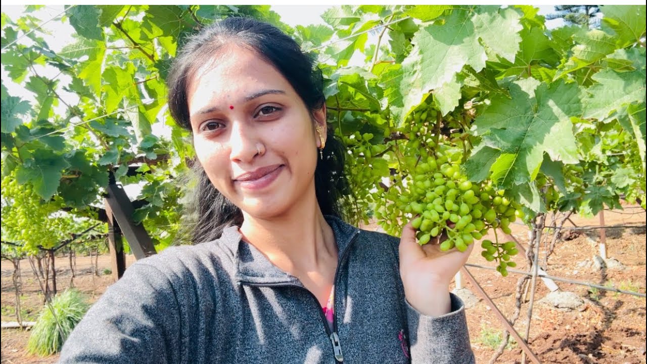 आज गेले शेतात चक्कर ला 😍