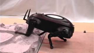 One Little Dog Robot