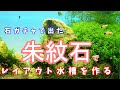 朱紋石でレイアウト水槽を作る
