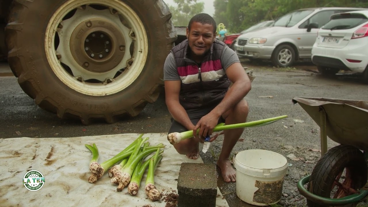 ÉPISODE 96 - LA CULTURE DU SONGE EN HÉRITAGE CHEZ LES GERMANE