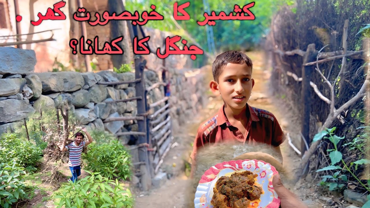 Jungle ma khana banaya | kashmir ka Ajeeb Ghar | Azad kashmir wala ...