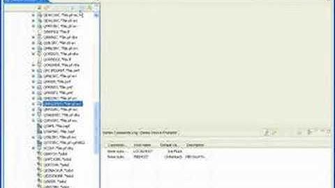 WDSC, V1#4: "Using the RSE View to Set Up a Work Session"
