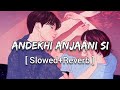 Andekhi Anjaani Si Slowed Reverb Lata Mangeshkar Udit Narayan Lofi Song Textaudio Andekhi Anjaani Si Slowed Reverb Lata Mangeshkar Udit Narayan Lofi Song Textaudio