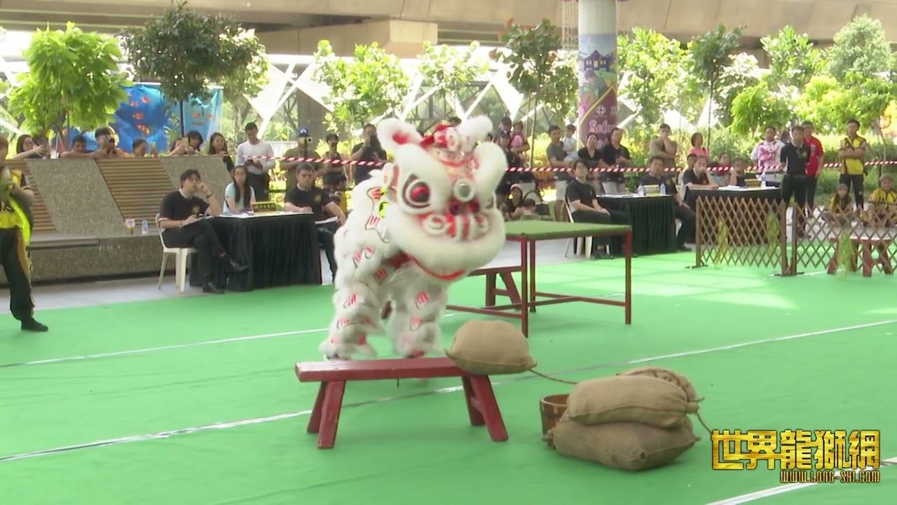 弘德龙狮体育会B队