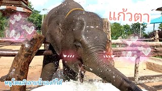 อาก้อนแก้วตา🐘รู้ประสาเกินคน💗นอนกลางวันตื่นมาร้อนหนูก็ยืนอาบน้ำปะแป้งเองเลย🐘💦