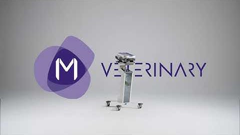 M-VET | The Evolution of MLS Laser Therapy