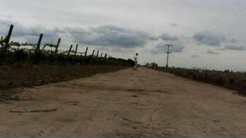 Another AK amputee running video.