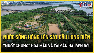 Hà Nội: Nước sông Hồng dâng sát cầu Long Biên, “nuốt chửng” hoa màu và tài sản hai bên bờ