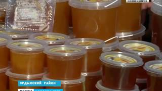 Сбор урожая мёда завершен в Новосибирской области Сбор урожая мёда завершен в Новосибирской области