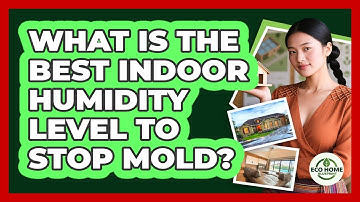 What Is The Best Indoor Humidity Level To Stop Mold? - Eco Home Blueprint