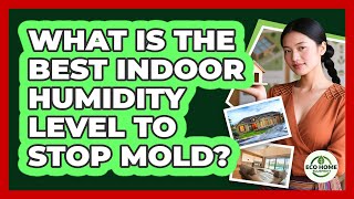 What Is The Best Indoor Humidity Level To Stop Mold? - Eco Home Blueprint What Indoor Humidity Level Prevents Mold