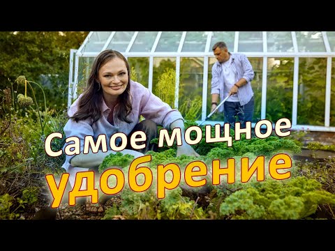 7 причин посеять