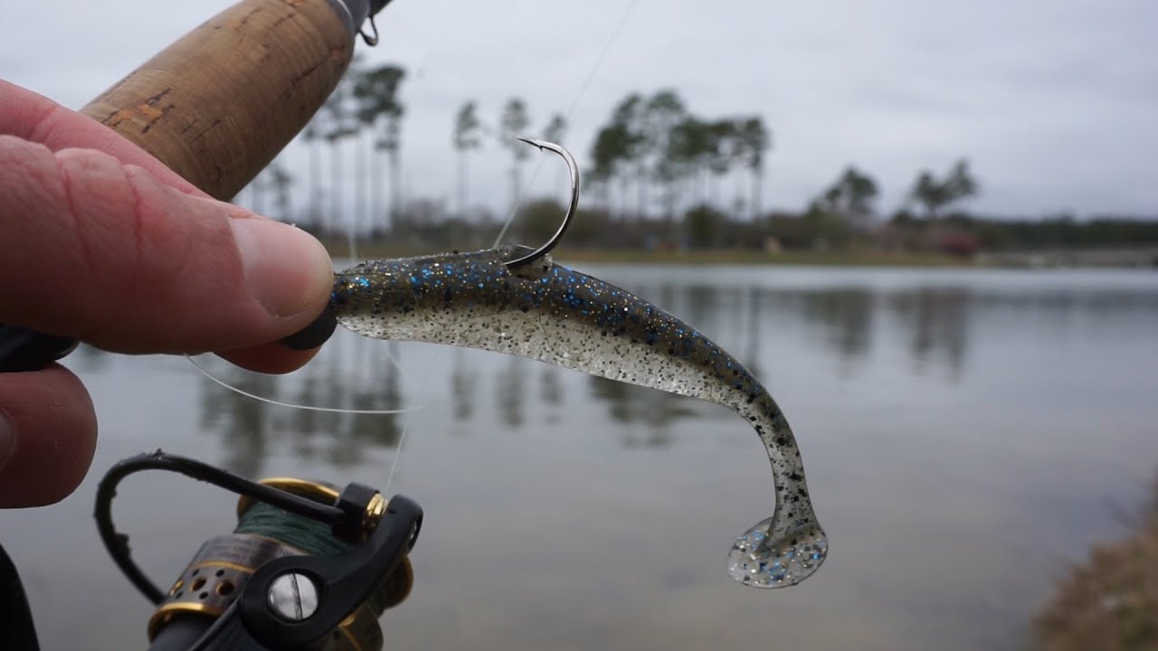 Northern Angler vs BIG Southern Fish - 1700 Mile Southeast Fishing Detour Part 2