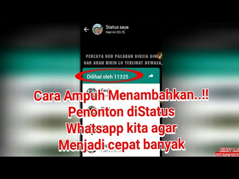 cara-mudah-menambahkan-penonton-status-whatsapp-agar-cepat-banyak
