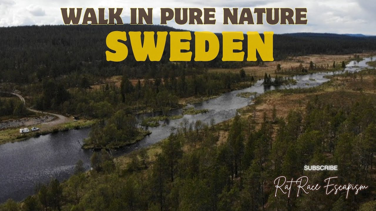 An idyllic day in Sweden — camping by a river, surrounded by pure nature. 🌲🐾