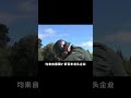 德國五大百年巨頭企業：二戰時的資本老牌，三輛汽車巨頭躍上榜！ #歷史 #歷史故事 #中國歷史 #中國 #黃埔軍校