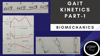 Gait Kinetics - Part 1 Gait Biomechanicsphysiotherapy Tutorial