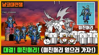 【냥코대전쟁】 대결! 미친머리! / 미친머리 얻으러 가자! screenshot 5