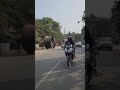 #shorts || YAMAHA R15M/ V4 GREY GLOSY BLACK MODIFIED 🚀 || #theindrider