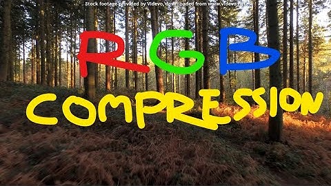 Compression Artifact. Reveal in R, G, B channel