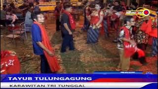 TAYUB TULUNGAGUNG TERBARU ''TRI TUNGGAL'' DI RUMAH BPK.MARNIANTO