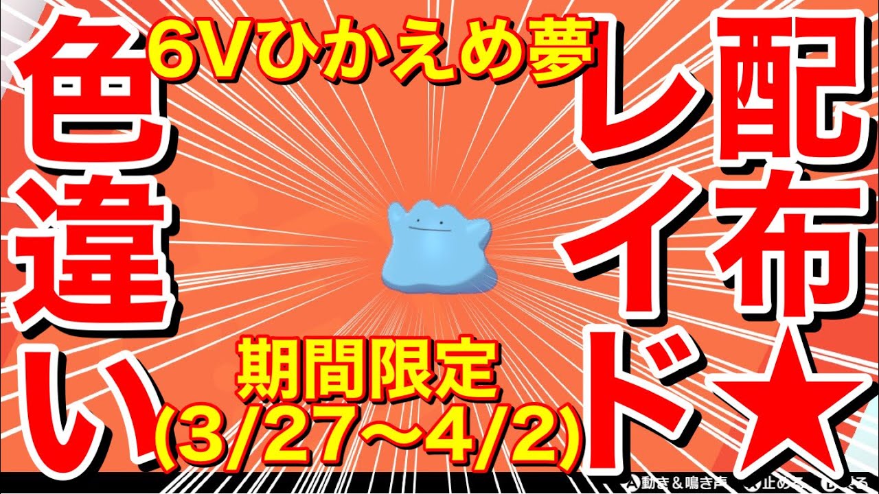 初見歓迎 順番制 メタモン 型6v夢特性 ひかえめ 色違いレイド配布3 27 4 2 ポケモン剣盾 Youtube