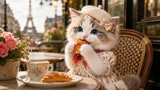 🌸🐾 Mimi’s First Paris Postcard | Tiny Kitten Travel Diary in Spring Paris 🇫🇷✨ | 아기 고양이의 봄 파리 여행 일기