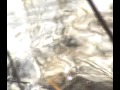 youtube result thumbnail