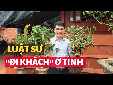 Video Đi Bến Tre làm thủ tục khai di sản cho khách hàng |... - youtube