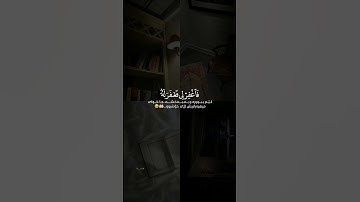 ماهر المعيقلي سورة القصص Mahir Al Muaqaly Surat Al Qasas