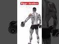 Bigger shoulders #motivation #delttraining #gymworkout #shoulder #abs #fatloss #bodybuildinggym