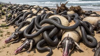 Посмотрите На Что Способны Самые Ядовитые Змеи