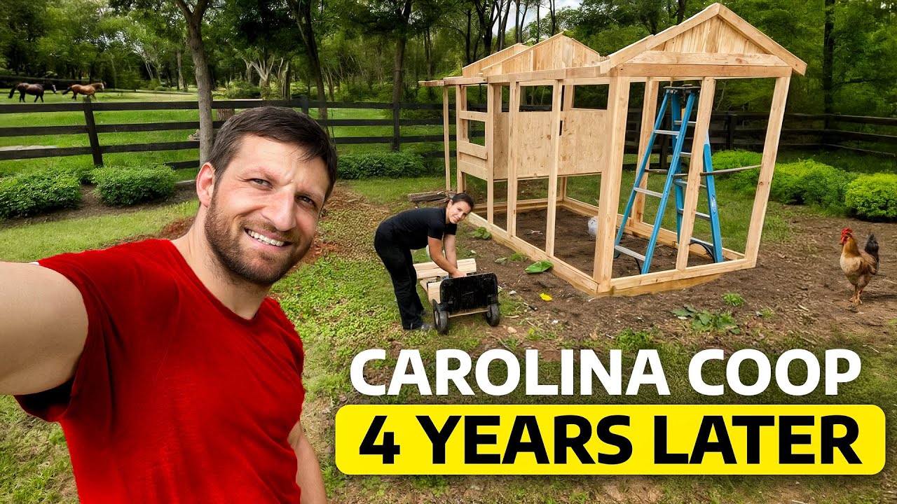Would We Still Buy This Chicken Coop Today?!