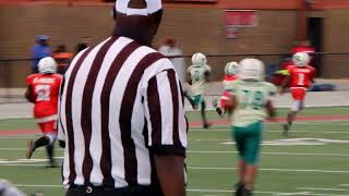 UYFL SWAG Conference Championship 8U Highlights #uyfl #championship Guide