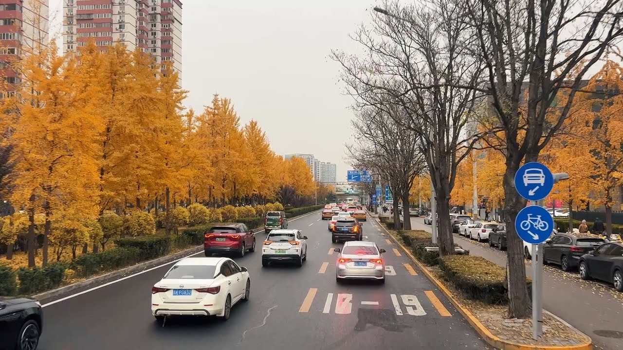 Beijing autumn street view as seen from a double-decker bus