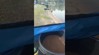 Method Feeder zawody wędkarskie w praktyce