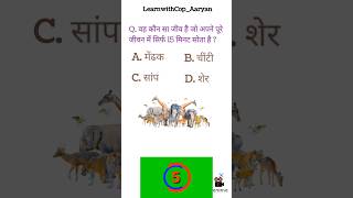 दिमाग का दही 🤔|| पहेलिया || General Knowledge Check ✅ Gk Question And Answer #GK #paheli #shorts
