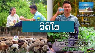 ທຸລະກິດອອນໄລຣ - ໂຄສະນາ