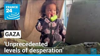 Scraps, cactus: Gaza's hungry get desperate • FRANCE 24 English