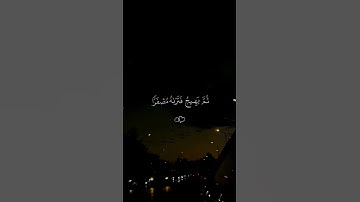 تلاوة هادئة الشيخ ماهر المعيقلي #quran #اكسبلور #explore #المصحف #لايك #راحة_نفسية #القارئ #butiful