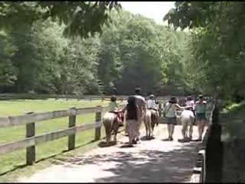 I want to be a cowpoke! Pony ride at Brown County State Park.