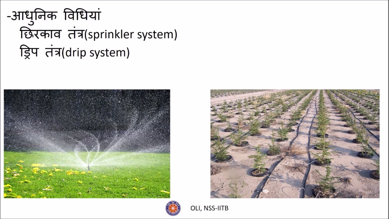 फसल उत्पादन एवं प्रबंध (Crop Production and Management) कक्षा 8