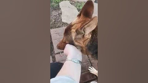 AQPuCSldAI64HO9roubrfC1i7rBfEX mTZSyEVl ZJI83jVOALhs9oTVOBqewvTQzlPU05mLoQjoD24Rn8fusi n