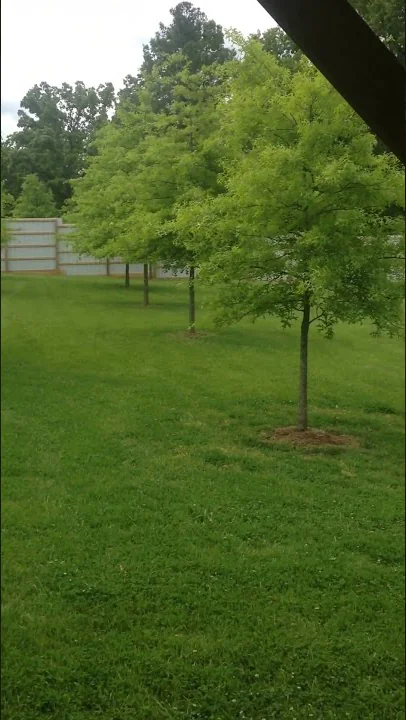 Back Yard Virtual Tour