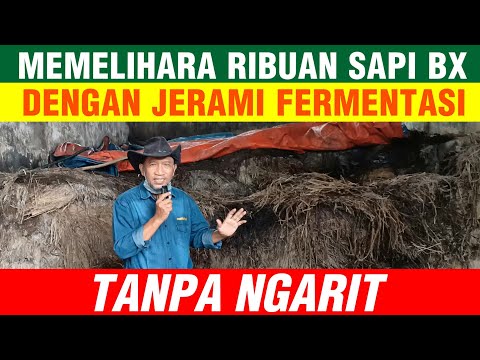 Video: Bisnis apa yang harus dimulai dari awal? Beberapa Ide