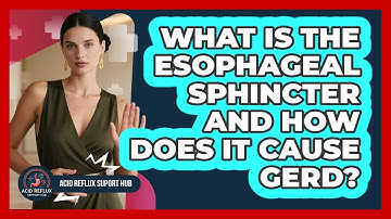 What Is The Esophageal Sphincter And How Does It Cause GERD? - Acid Reflux Support Hub