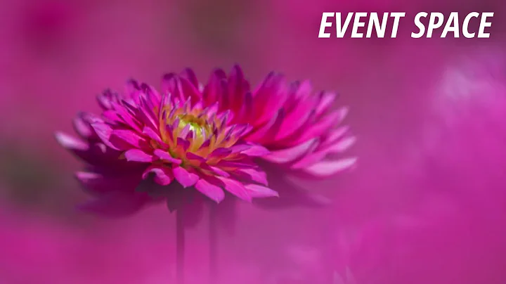 How to Be Creative in Your Flower Photography | B&H Event Space - DayDayNews