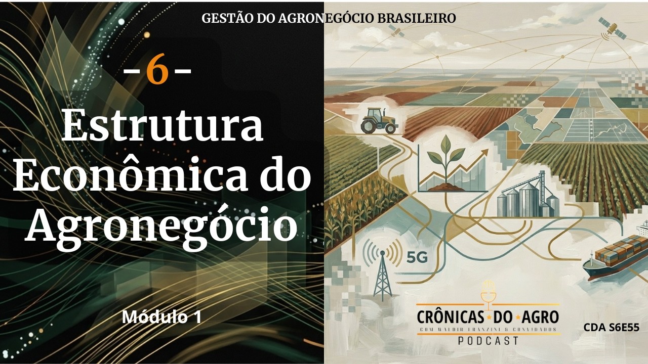 06 - ESTRUTURA ECONÔMICA DO AGRONEGÓCIO