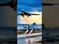 Fire And Flight Together 
